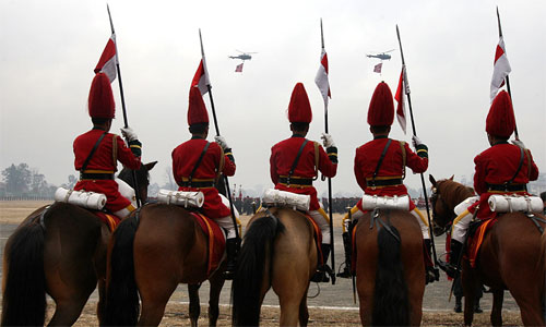 點(diǎn)擊瀏覽下一頁