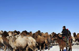 點(diǎn)擊瀏覽下一頁(yè)